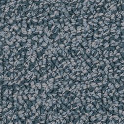 13889 Stadium – Light Taupe, Light Blue with Tropical / Sea Blue Patterning

Light taupe and blue Champion Gym Carpet with tropical sea blue textured patterning, designed for quiet, durable gym flooring in schools, churches, and rec centers.