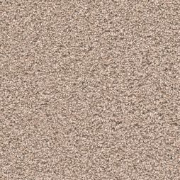 13989 Seashell