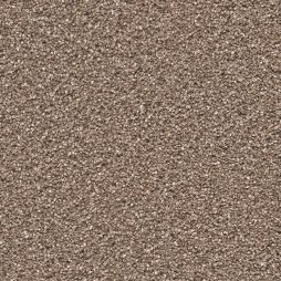 13996 Quail