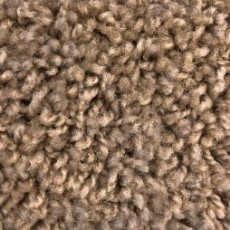 14423 Coconut Shell