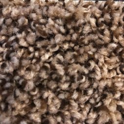 14426 Pebble Path Flec