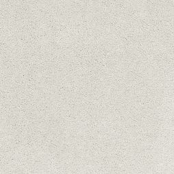 14804 Silver Pearl