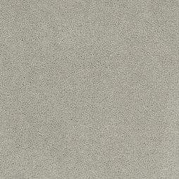 14804 Silver Pearl