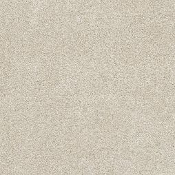 14808 Pebble Stone