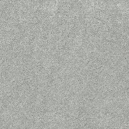 14818 Shadow