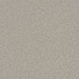 14980 Peaceful Calm