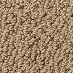 15162 Rattan