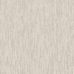 15224 Coconut Shell