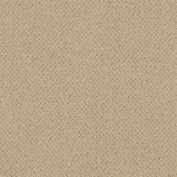 15351 Neutral Beige