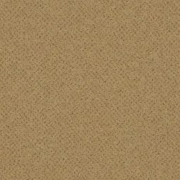 15352 Warm Bisque