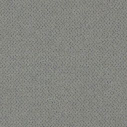15354 Moon Dust