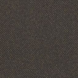 15364 Star Light