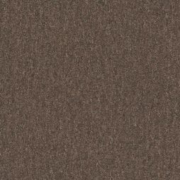 15464 Chocolate