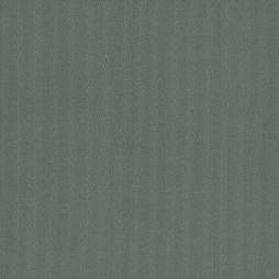 15485 Mineral
