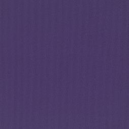 15488 Purple Passion