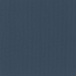 15489 Blue Moon