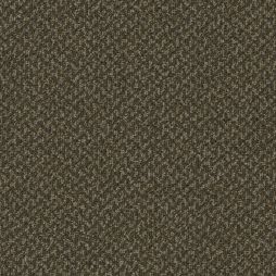 15748 Chocolate Creme