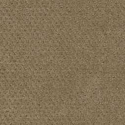 15759 Praline