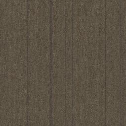 15970 Prairie Tan
