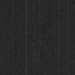 15978 Night Sky