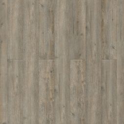 16093 Neutral