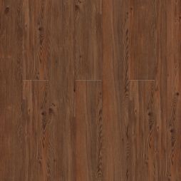 16096 Oak
