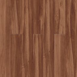 16097 Maple