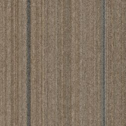 16202 Canvas