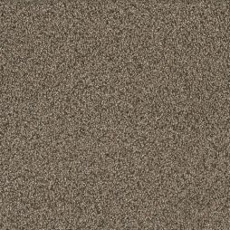 16224 Pebble Stone