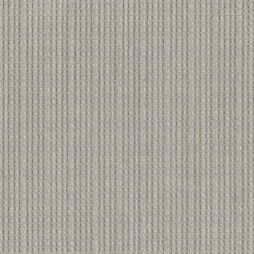16243 Taupe