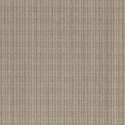 16245 True Tan