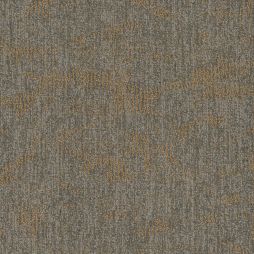 16259 Ambience