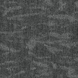 16270 Night Sky