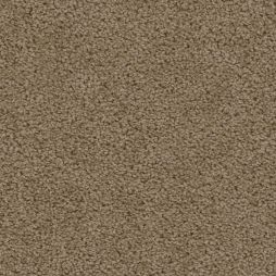 16282 True Tan
