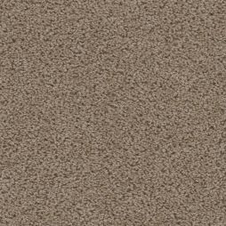 16283 Neutral