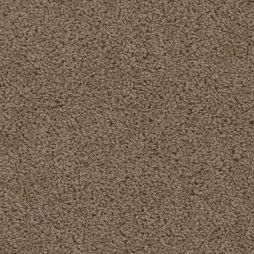 16289 Skipping Stone