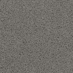 16290 Moon Dance