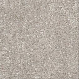 16326 Sand Dollar