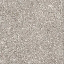 16326 Sand Dollar