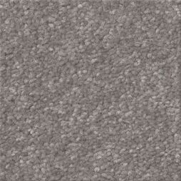 16339 Warm Shadow