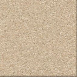 16537 Cashmere