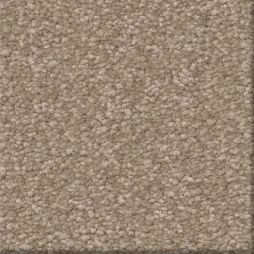 16546 Skipping Stone