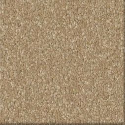 16547 Canvas