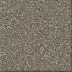 16554 Taupe