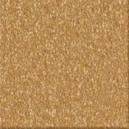 16555 Pebblestone