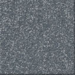 16557 Ocean