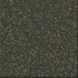 16561 Meadow