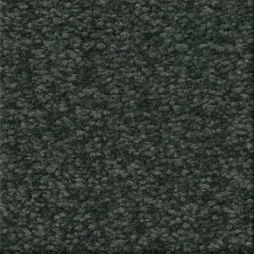 16562 Juniper