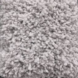 16589 Silver Pearl