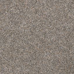 16619 Seashell